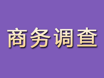 夏邑商务调查